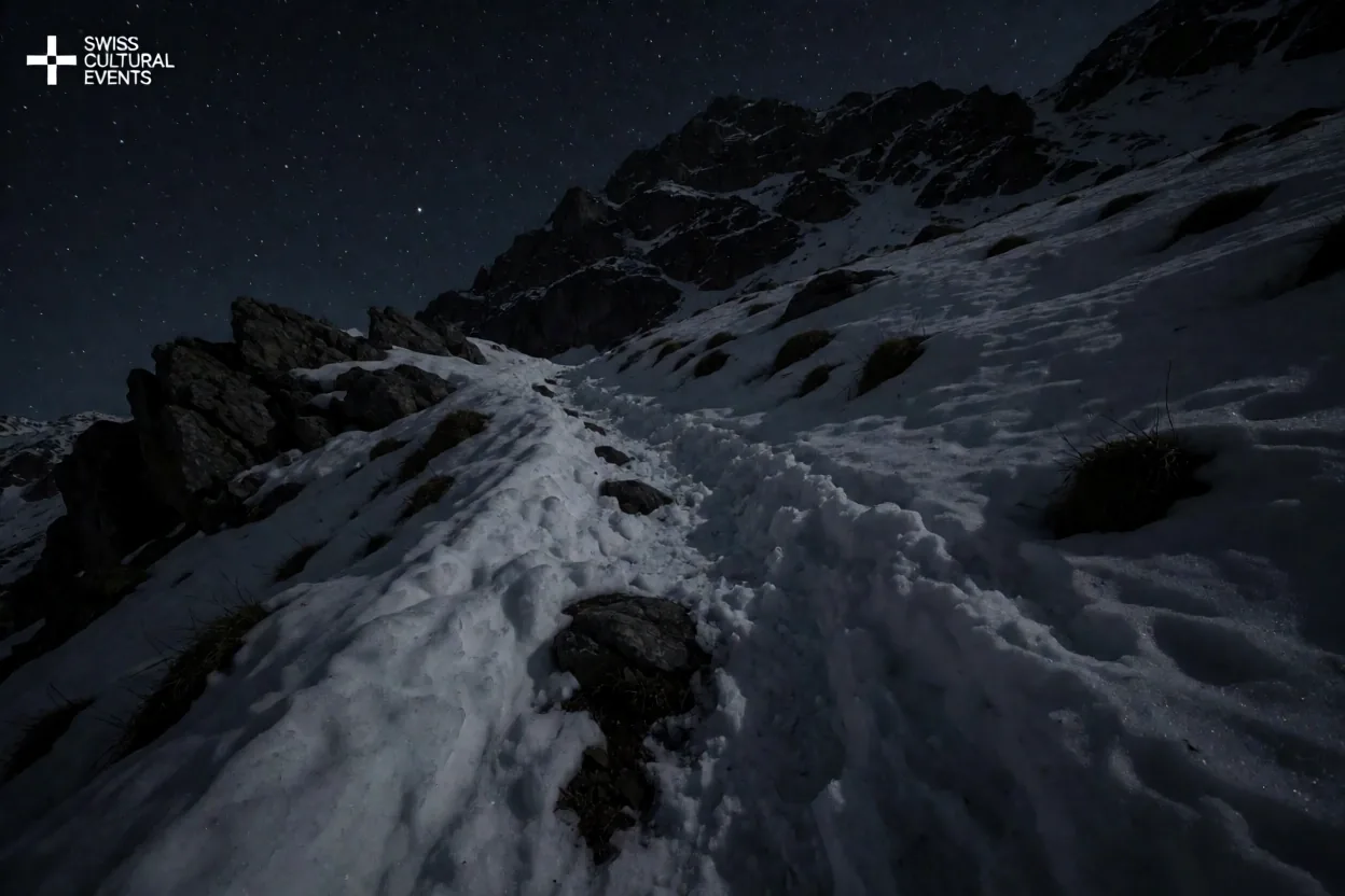 Nächtliche Schweizer Alpen
